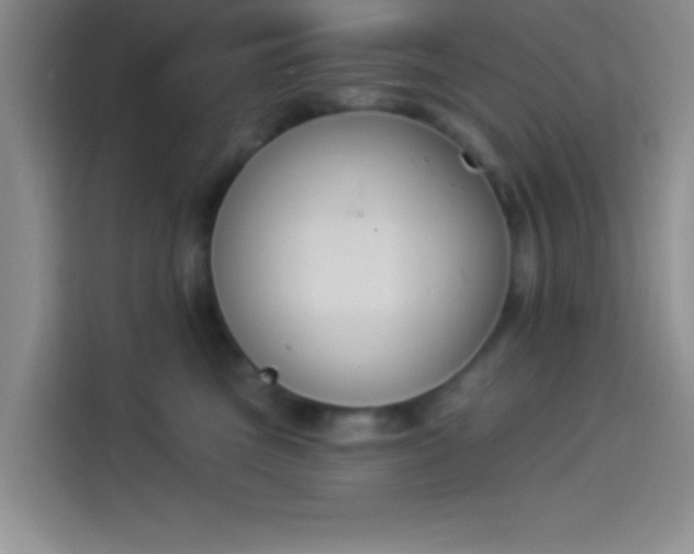 X0000114240473200910161637