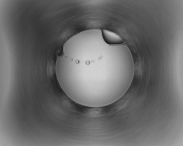 X0000114240474200910161637
