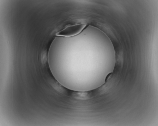 X0000114240478200910161637