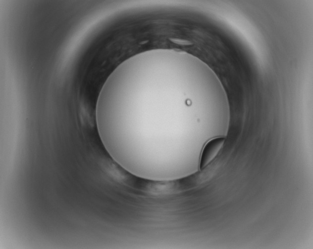 X0000114240479200910161637