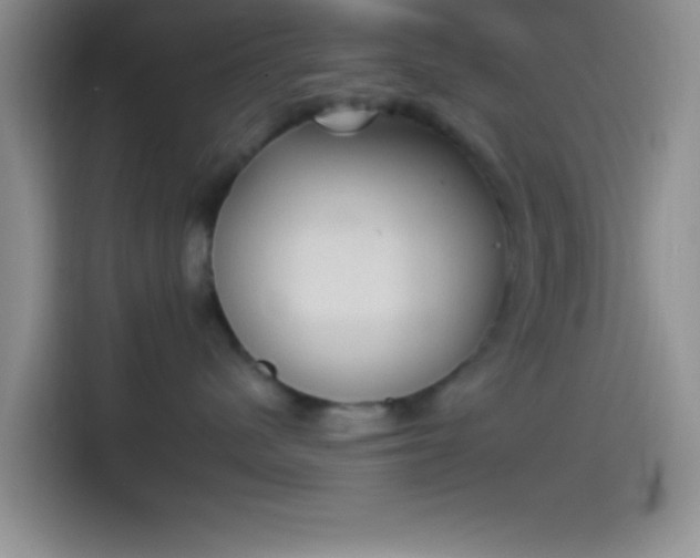 X0000114240480200910161637