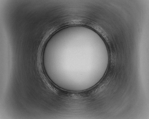 X0000114240481200910161637