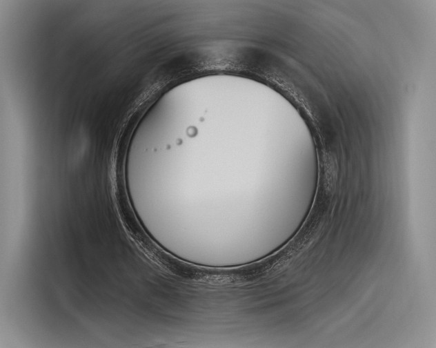 X0000114240482200910161637