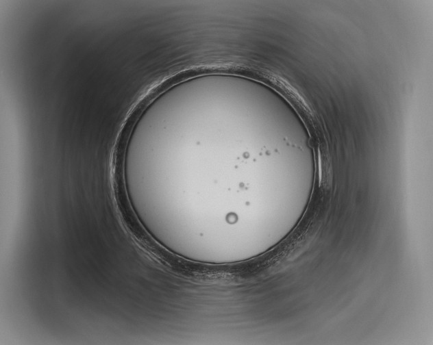 X0000114240483200910161637