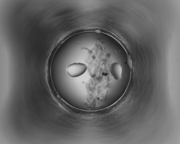 X0000114240485200910161637
