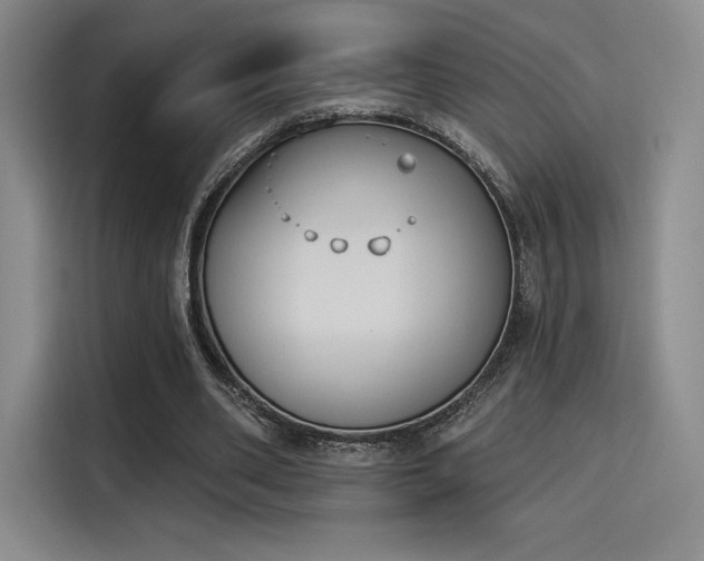 X0000114240486200910161637