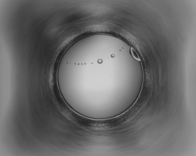 X0000114240487200910161637
