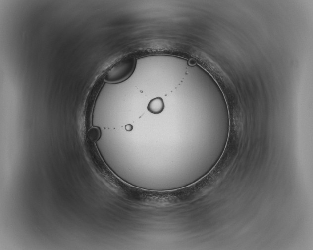 X0000114240488200910161637