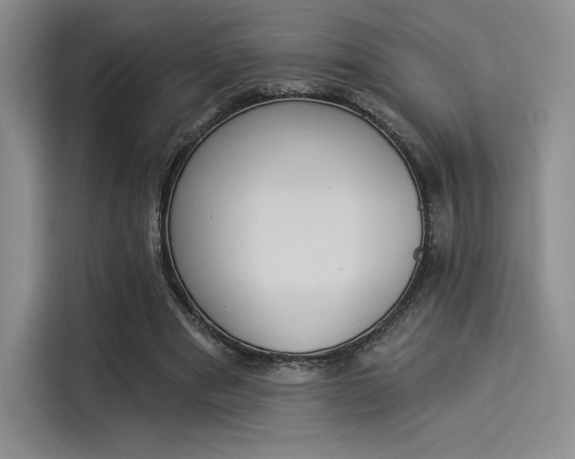 X0000114240489200910161637