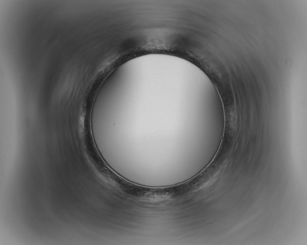 X0000114240491200910161637