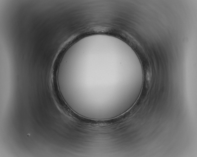 X0000114240492200910161637