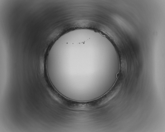 X0000114240493200910161637