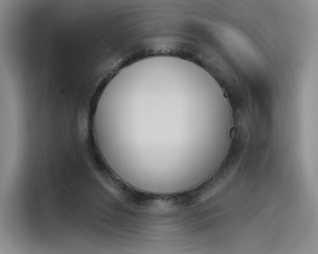 X0000114240496200910161637