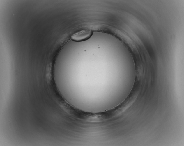 X0000114240497200910161637