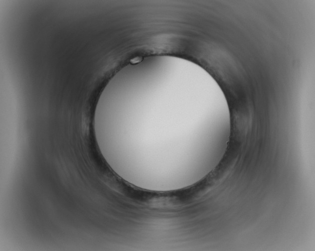 X0000114240499200910161636