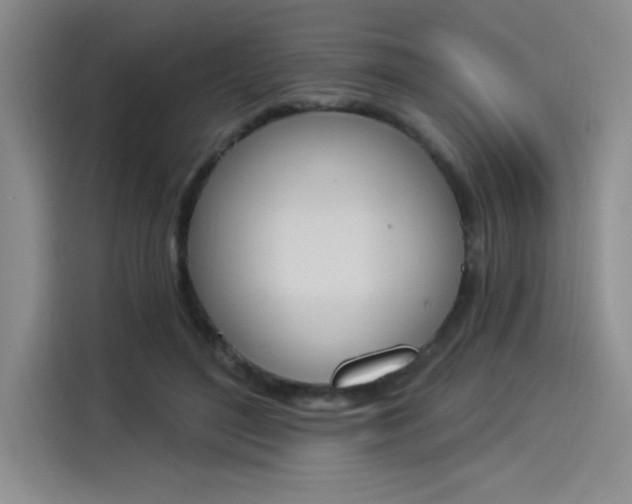 X0000114240500200910161636
