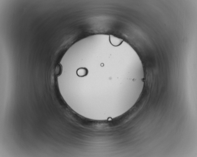 X0000114240501200910161636