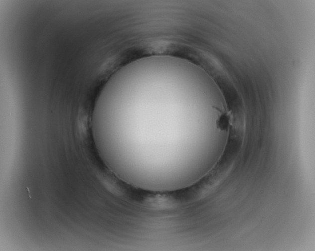 X0000114240503200910161636