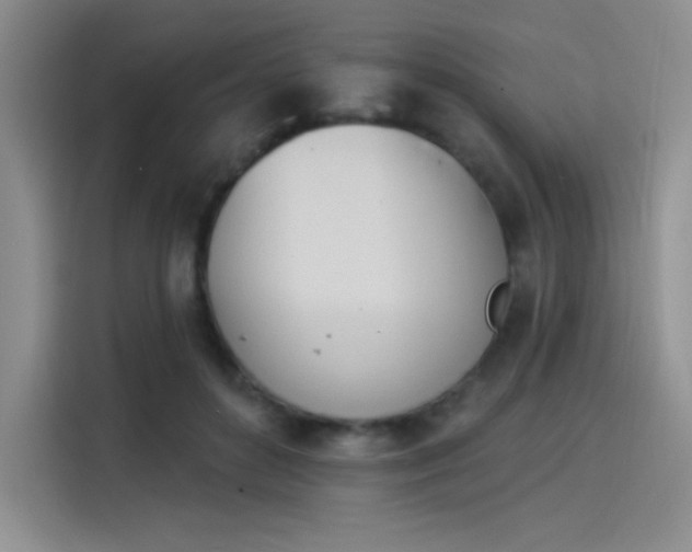 X0000114240504200910161636