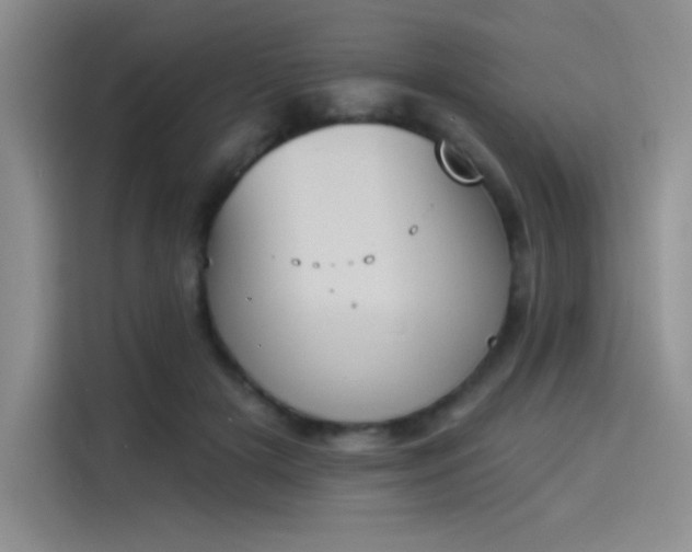 X0000114240505200910161636