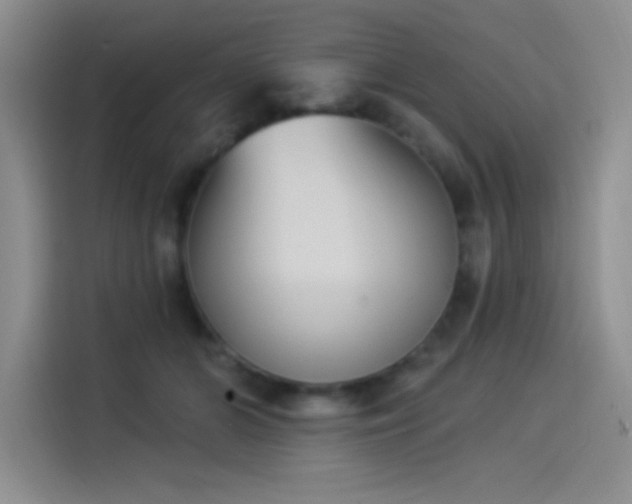 X0000114240510200910161636