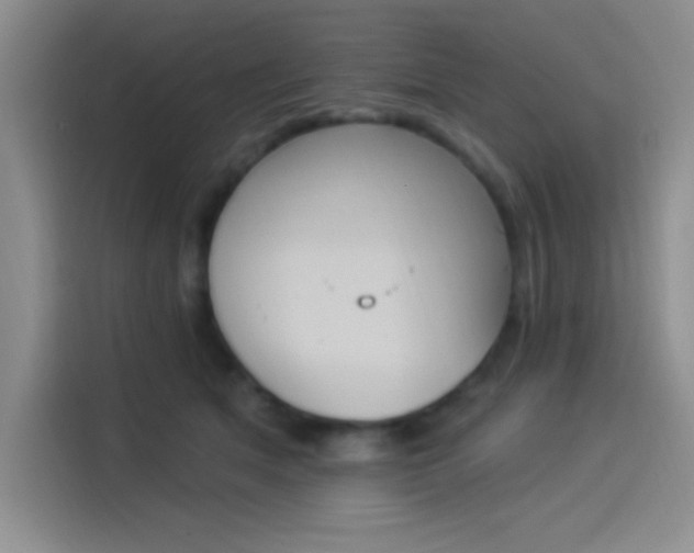 X0000114240513200910161636