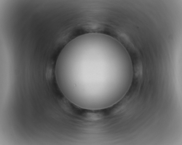 X0000114240515200910161636