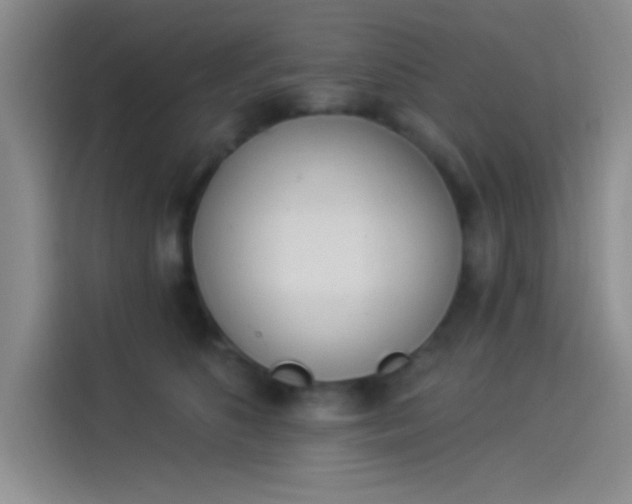 X0000114240516200910161636