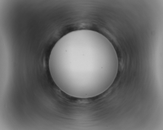 X0000114240520200910161636
