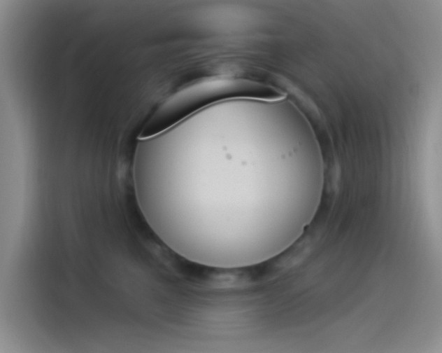 X0000114240521200910161636