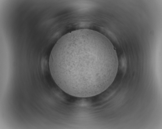 X0000114240522200910161636