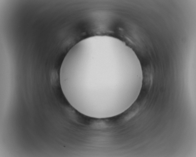 X0000114240523200910161636