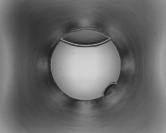 X0000114240524200910161636
