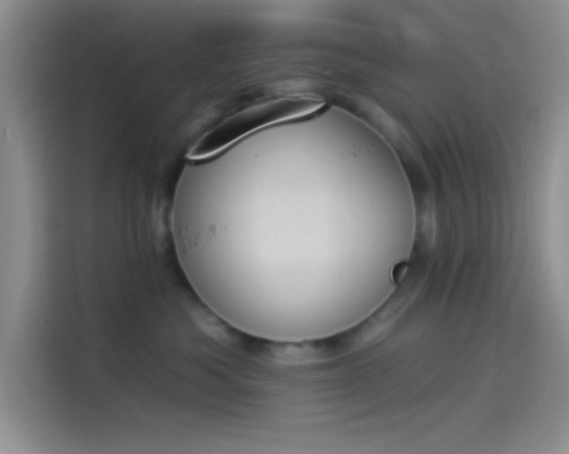 X0000114240525200910161636