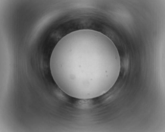 X0000114240526200910161636