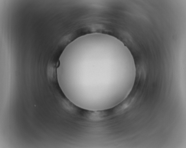 X0000114240527200910161636