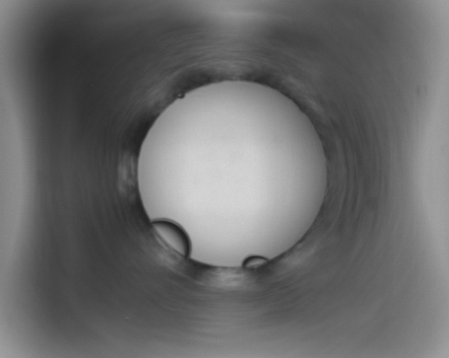 X0000114240528200910161636