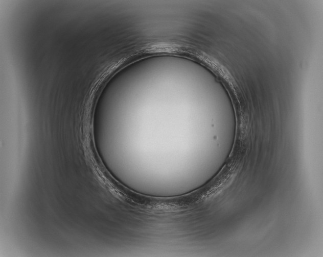 X0000114240529200910161635
