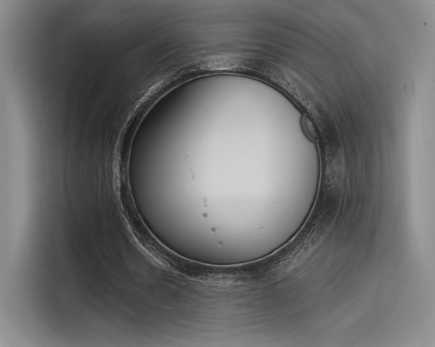 X0000114240530200910161635