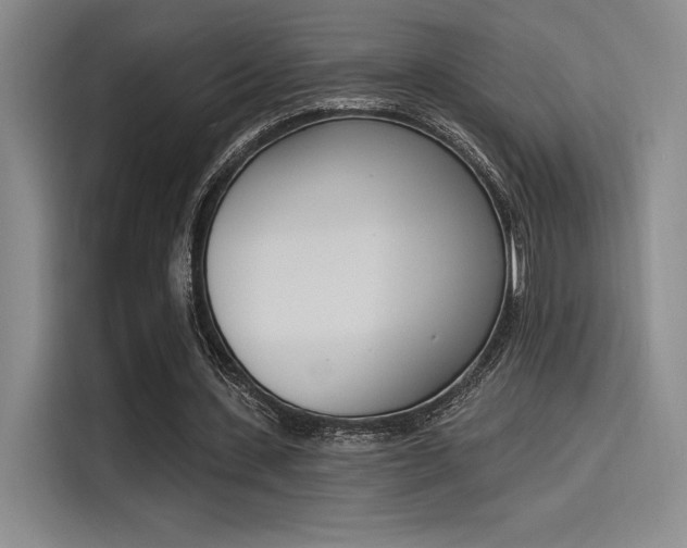 X0000114240531200910161635