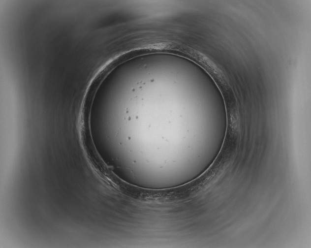 X0000114240532200910161635