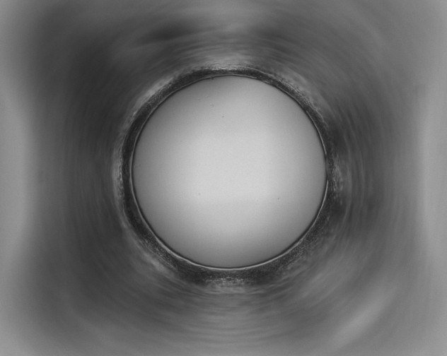 X0000114240535200910161635