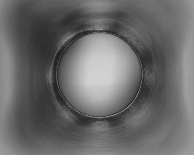 X0000114240536200910161635