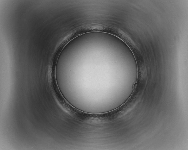 X0000114240538200910161636