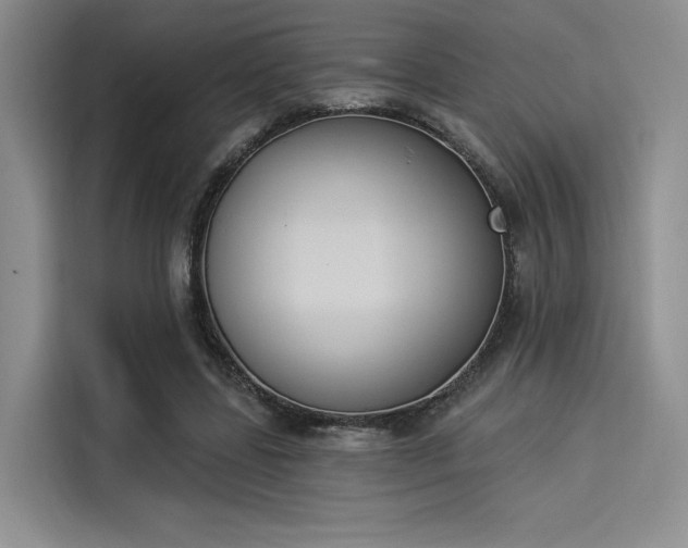 X0000114240539200910161636