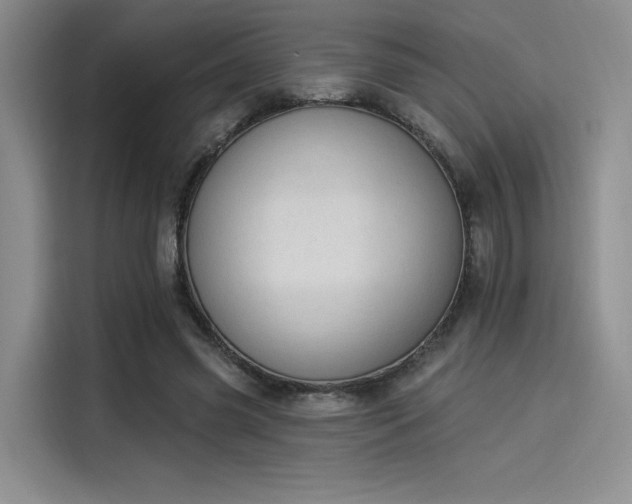 X0000114240541200910161636