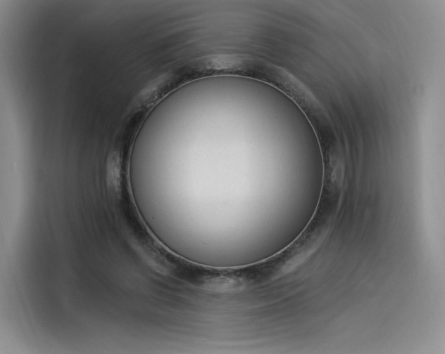 X0000114240542200910161636