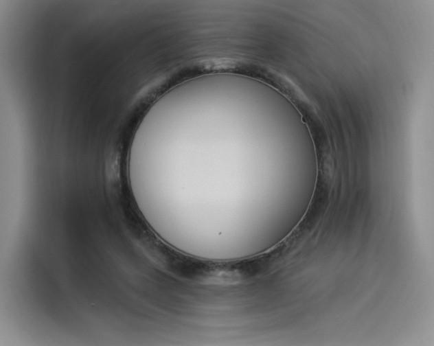 X0000114240543200910161636