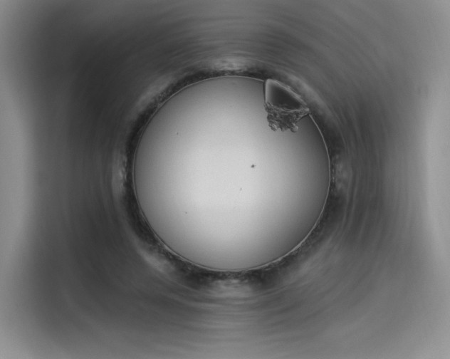 X0000114240544200910161636