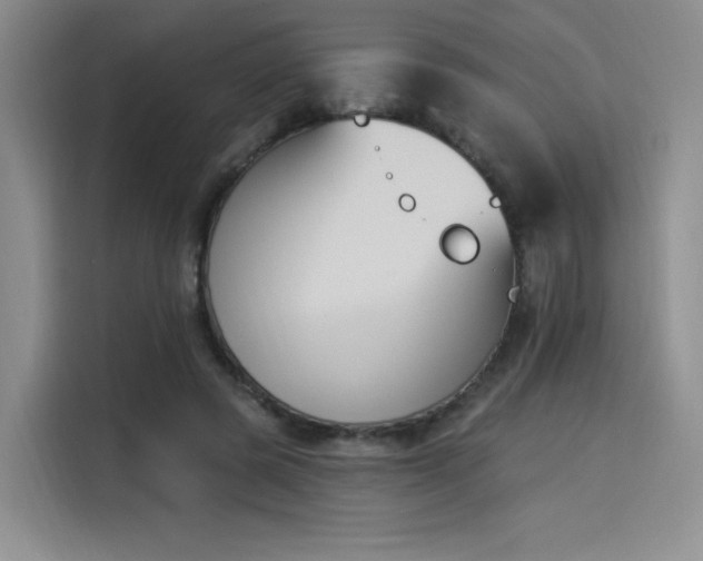 X0000114240545200910161636
